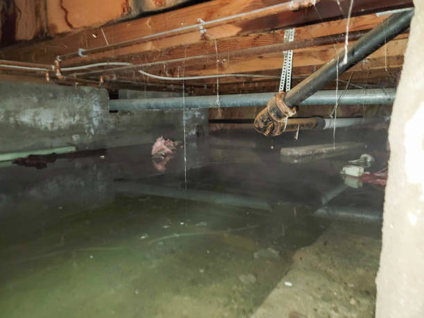 Best Commercial Water Damage Restoration in Cambridge, OH